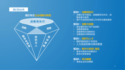 组织与人才咨询项目简介-企业管理咨询解决方案